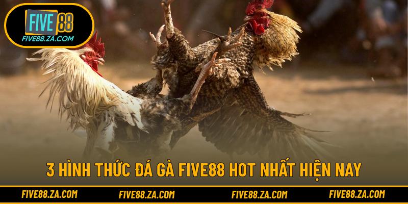 3 hình thức đá gà FIVE88 hot nhất hiện nay