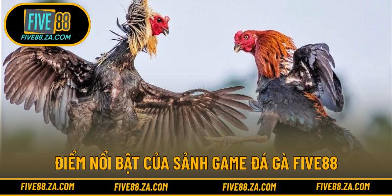 Điểm nổi bật của sảnh game đá gà FIVE88
