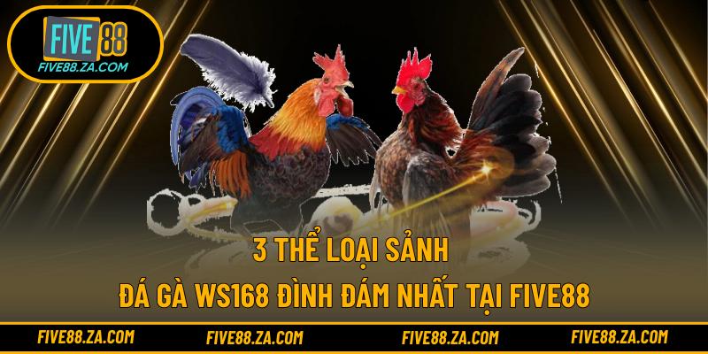 3 thể loại sảnh đá gà WS168 đình đám nhất tại FIVE88