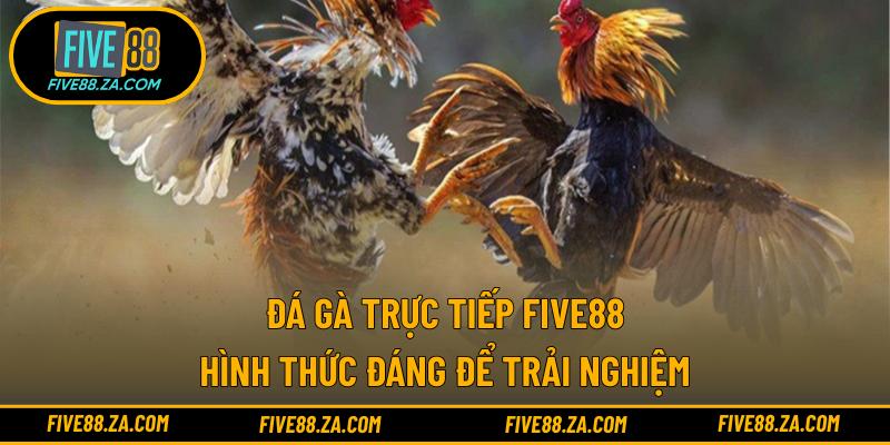 đá gà trực tiếp FIVE88