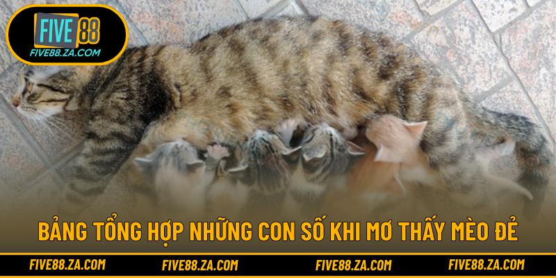 Bảng tổng hợp những con số khi mơ thấy mèo đẻ